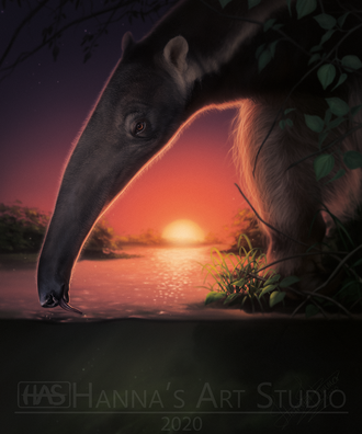 Artists for the Amazon - Wildlife Illustration