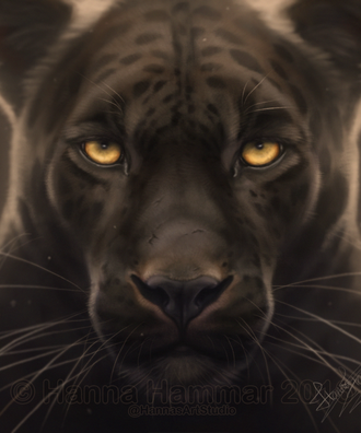 Jaguar - Wildlife Illustration