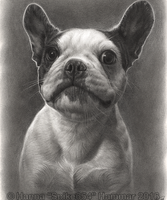 Siri - Traditional Artwork, Graphite Pet Portrait